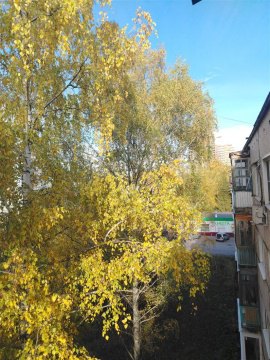 1-к квартира, 5/5 эт., 29м²